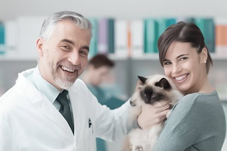 profissionais veterinários sorrindo com um gato no colo
