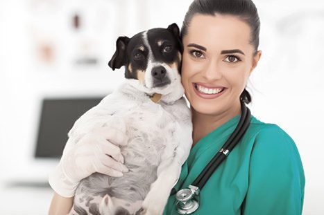 médica veterinário de jaleco verde sorrindo com um cachorro no colo